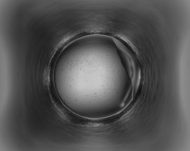 X0000087670582200705041012