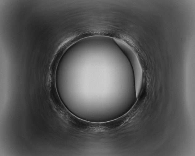 X0000087670583200705041012