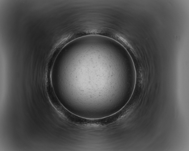 X0000087670586200705041012