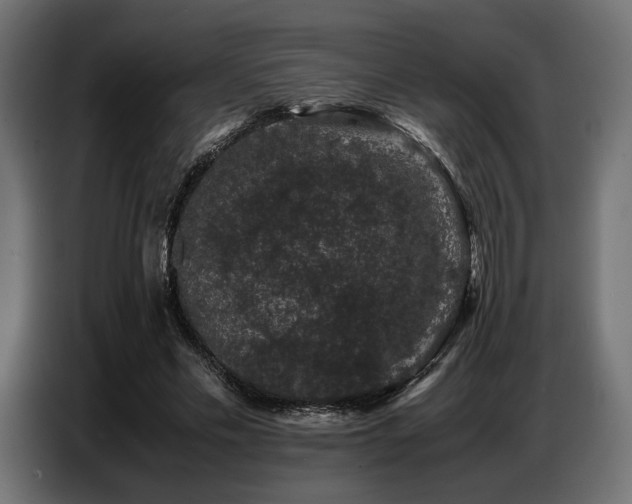 X0000087670589200705041012