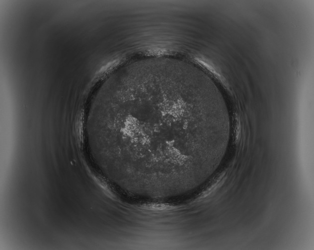 X0000087670590200705041012