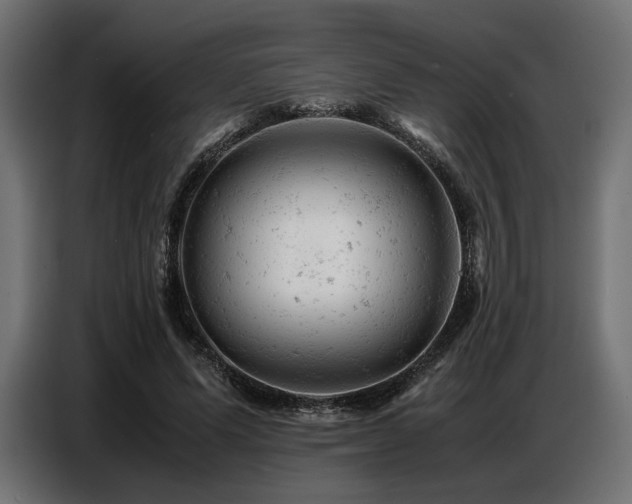 X0000087670591200705041012