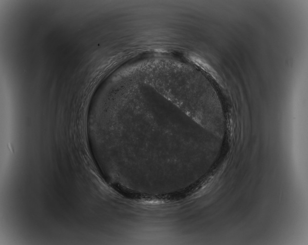 X0000087670593200705041012