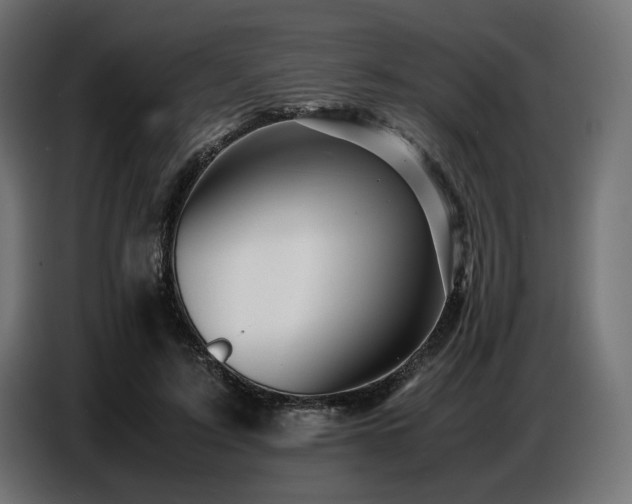 X0000087670595200705041012