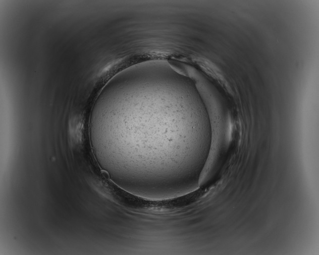 X0000087670596200705041012