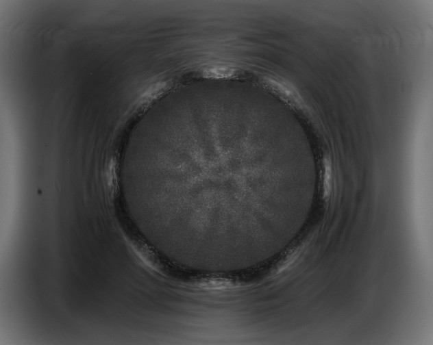 X0000087670598200705041012