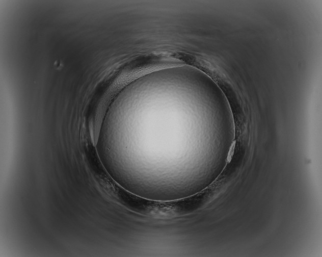 X0000087670599200705041012