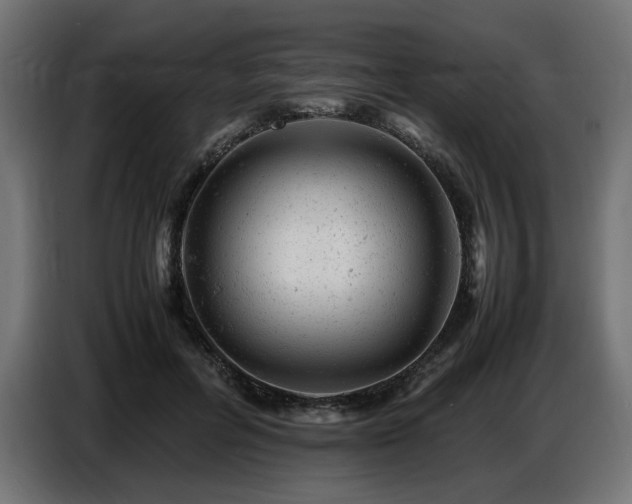 X0000087670600200705041012