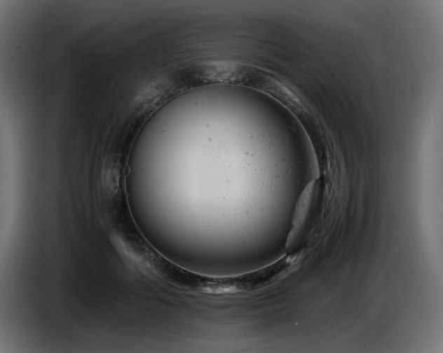 X0000087670602200705041011