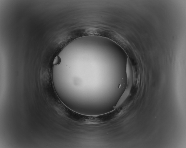 X0000087670603200705041011