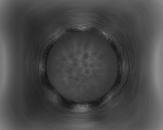 X0000087670606200705041011