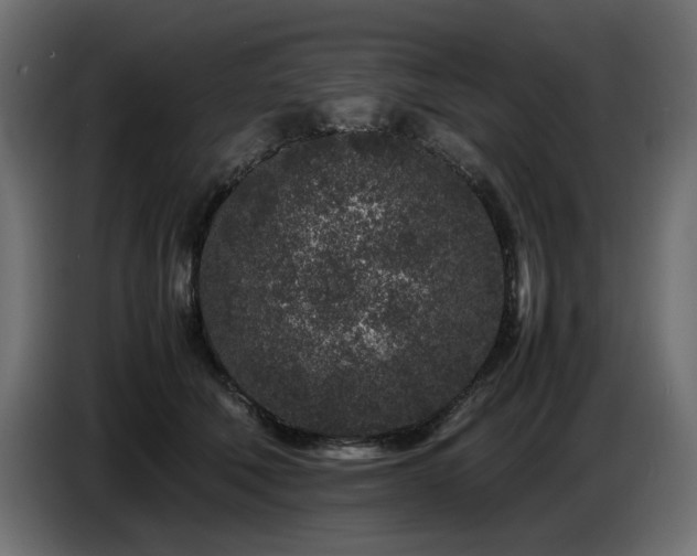 X0000087670610200705041011