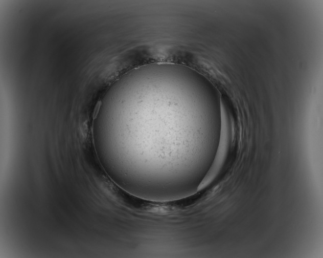 X0000087670611200705041011