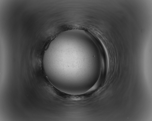 X0000087670613200705041011