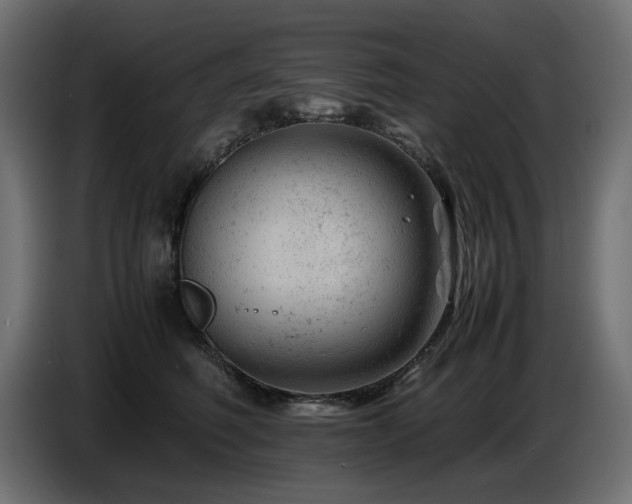 X0000087670614200705041011