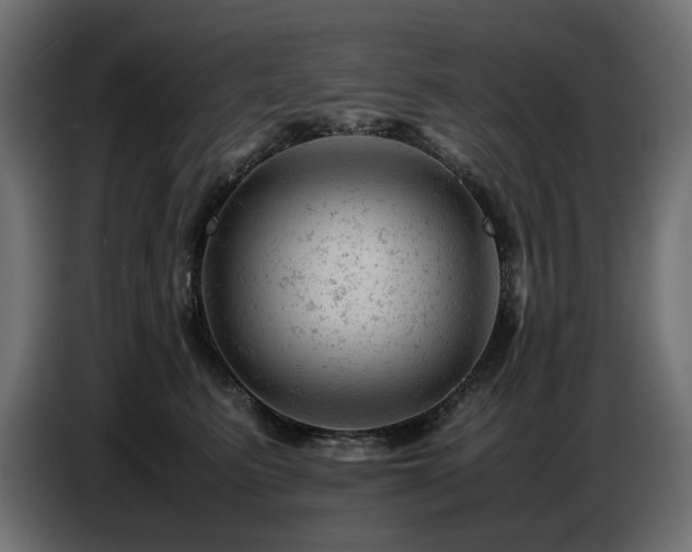 X0000087670615200705041011