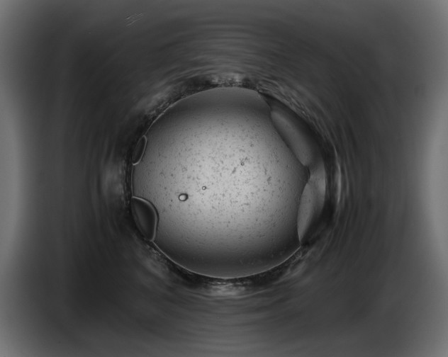 X0000087670616200705041011