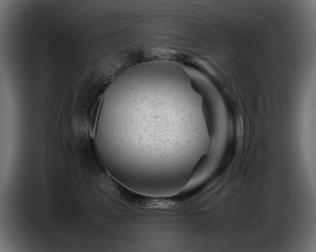 X0000087670617200705041011