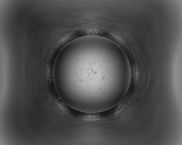 X0000087670619200705041011