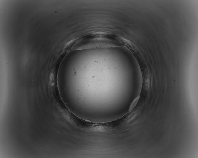 X0000087670620200705041011