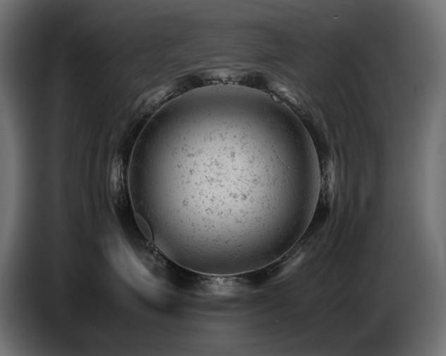 X0000087670623200705041011