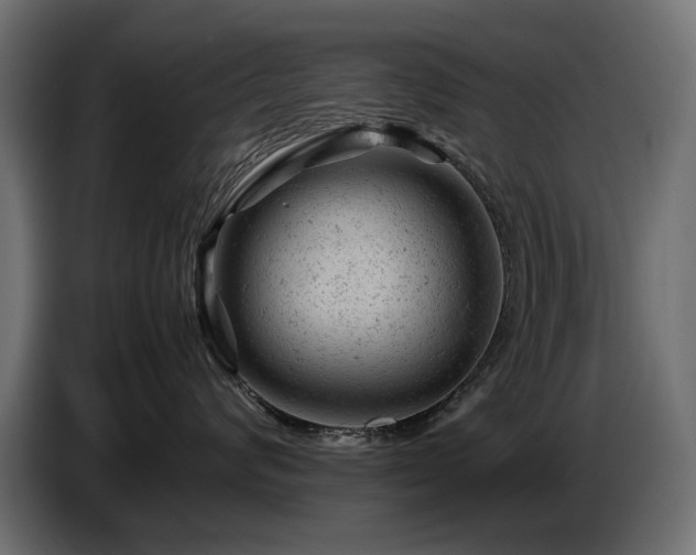 X0000087670624200705041011