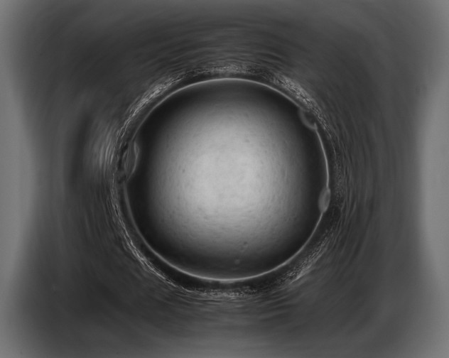 X0000087670625200705041011