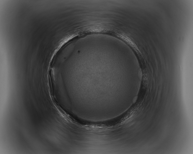 X0000087670626200705041011