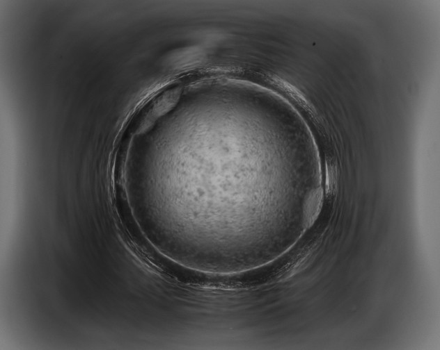 X0000087670627200705041011