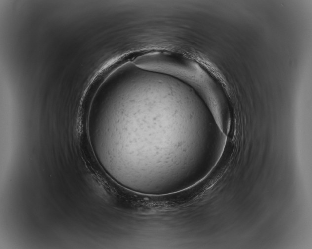 X0000087670628200705041011