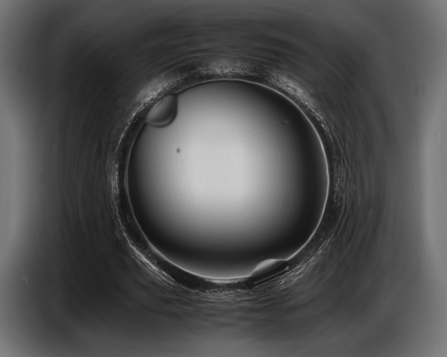 X0000087670629200705041011