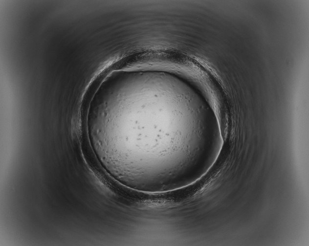 X0000087670630200705041011