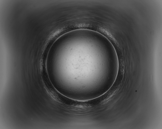 X0000087670631200705041011