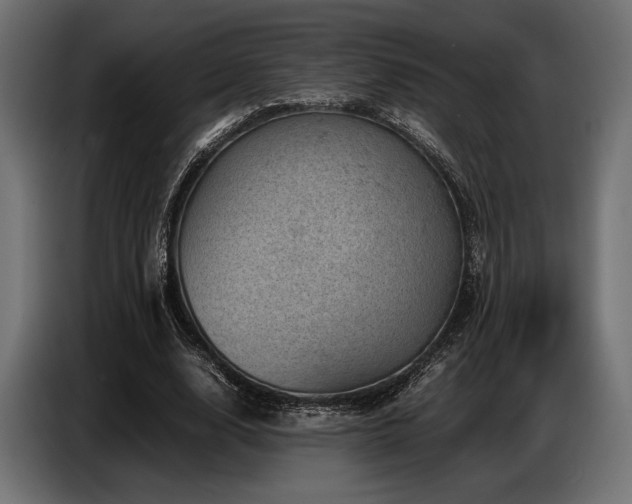 X0000087670632200705041011