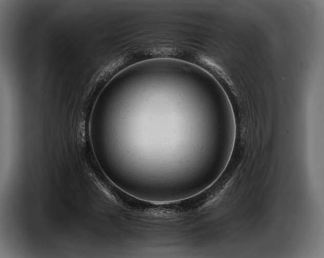 X0000087670633200705041011