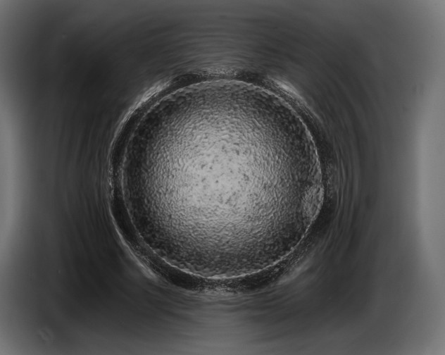 X0000087670634200705041011