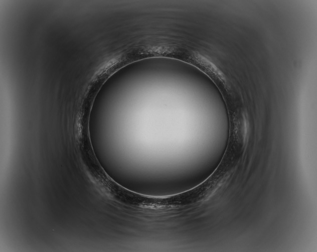 X0000087670635200705041011