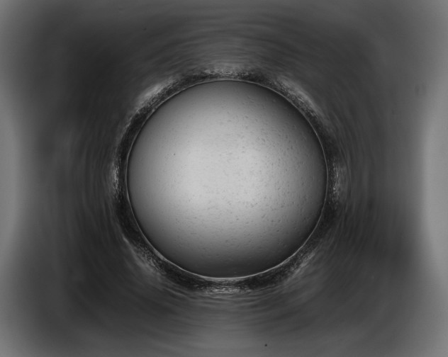 X0000087670636200705041011