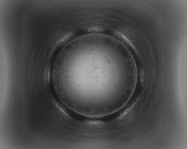 X0000087670637200705041011