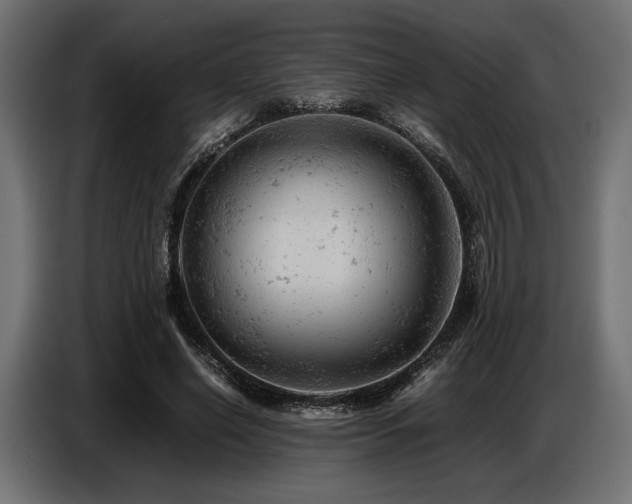 X0000087670638200705041011