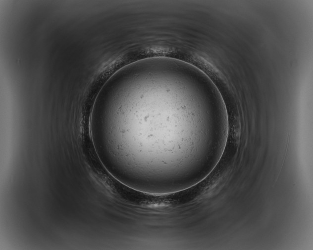 X0000087670639200705041011