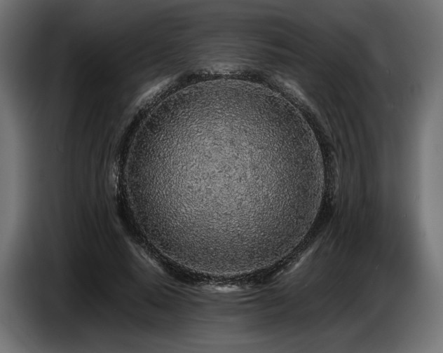 X0000087670640200705041011