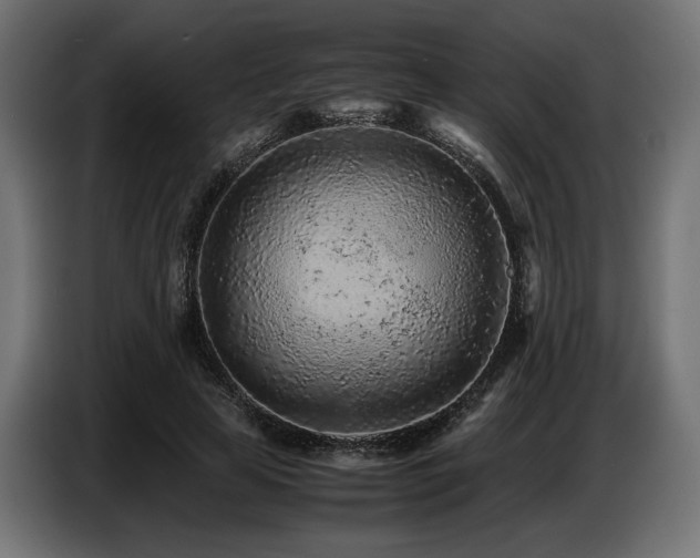 X0000087670641200705041011