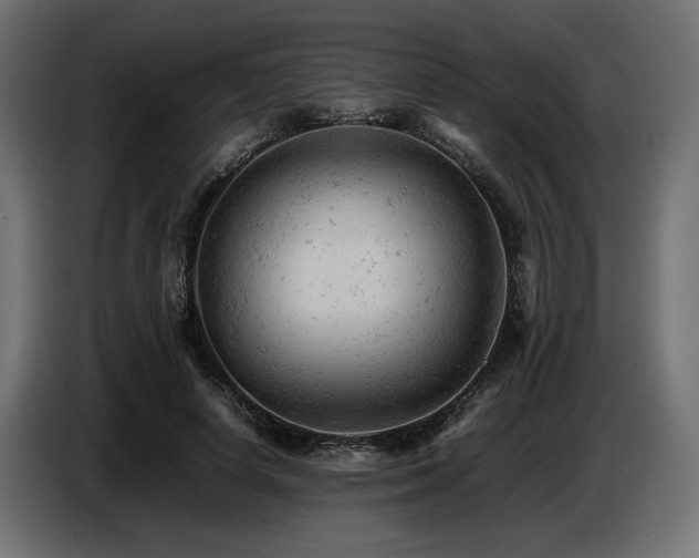 X0000087670642200705041011