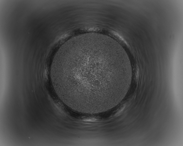 X0000087670643200705041011