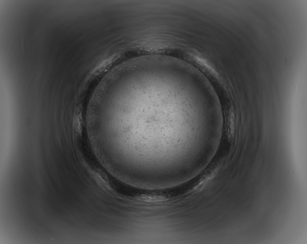 X0000087670644200705041011