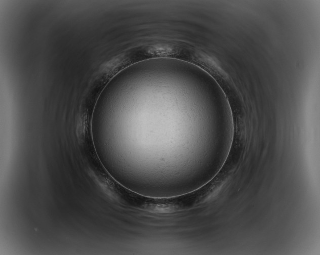 X0000087670645200705041011