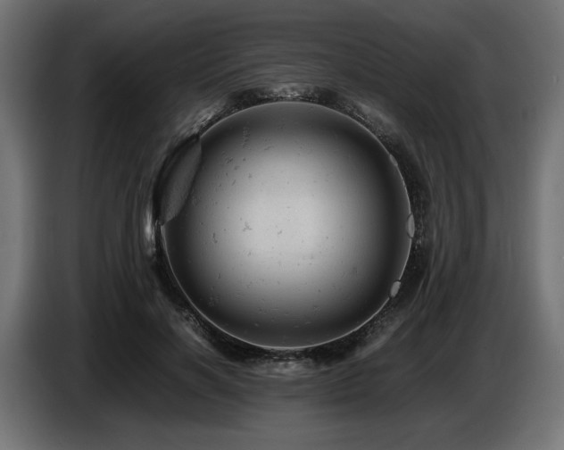 X0000087670646200705041011