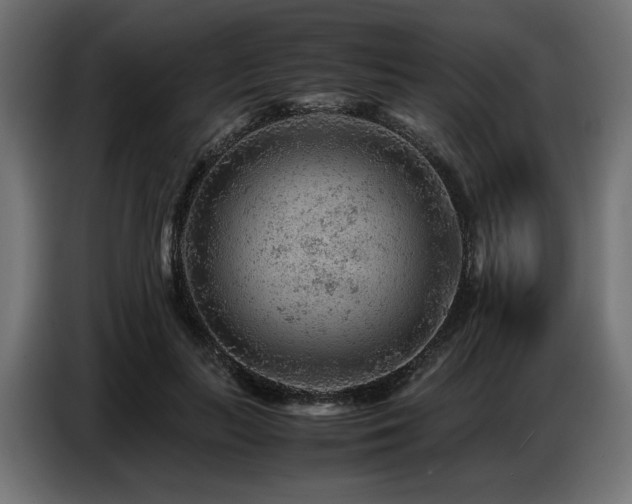 X0000087670647200705041011