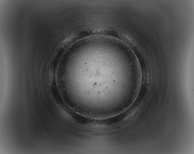 X0000087670648200705041011